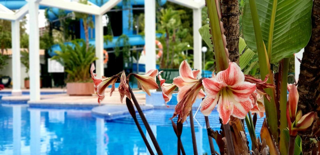 Estudio Deluxe Benalbeach Benalmádena Exterior foto